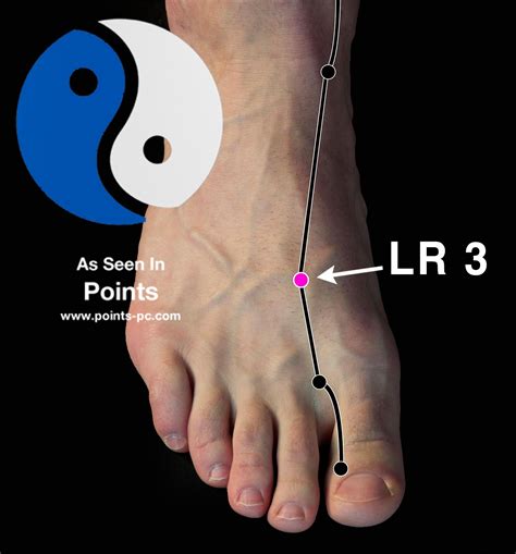 lv3 acupuncture point location